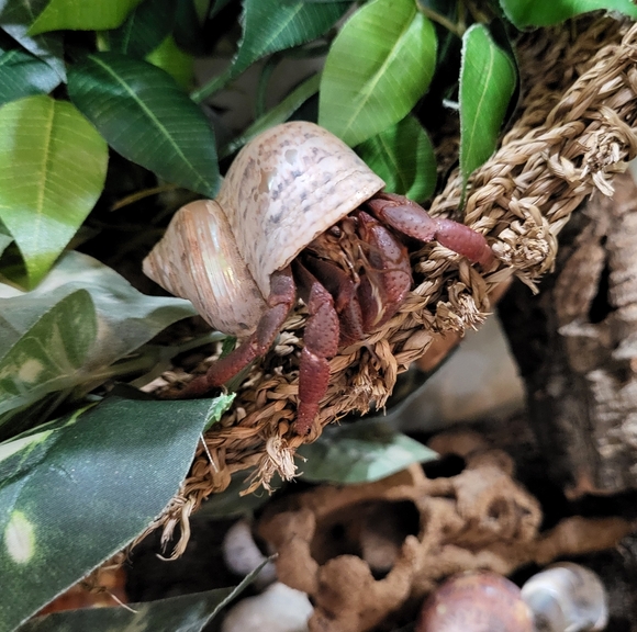 PLSreadBEFOREbuying! - Picture 7 of 16